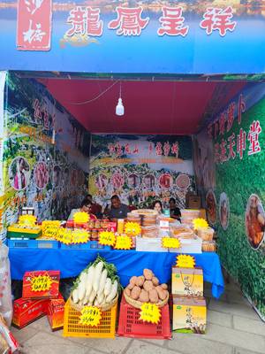 地道“沙橋味道”飄香展銷會 農特產品推介助力鄉村振興